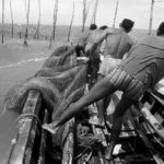 Série Caminhos do Mar 1979 – 02/ 1979