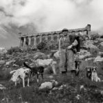 Série Europa Anos 1970 – Pastor e cães