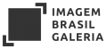 cropped-IBG-logo.png